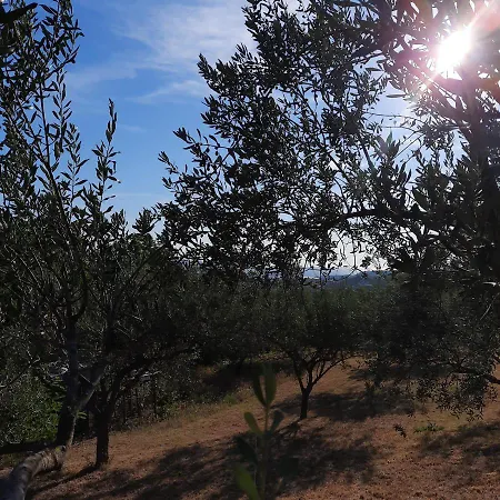 아파트 Apartma Rok Plavje