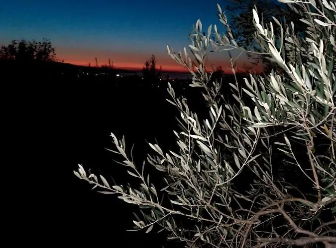 Appartamento Apartma Rok *