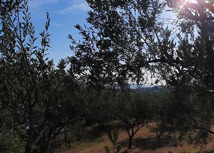 Appartamento Apartma Rok Plavje